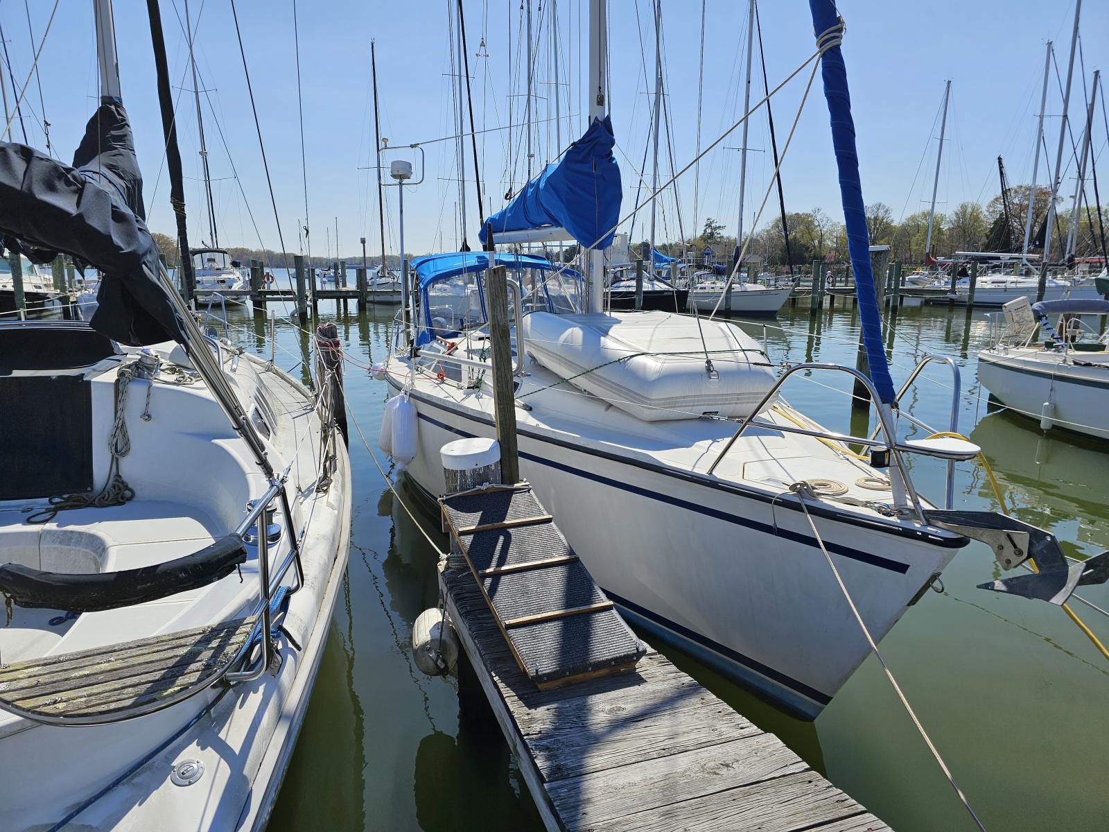 SLIP pic.jpg SpinSheet